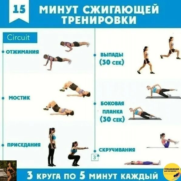 Интенсивная тренировка для сжигания жира дома. Тренировки для сжигания жира. кардио тренировка для похудения. круговые тренировки для сжигания жира. круговая тренировка для девушек.