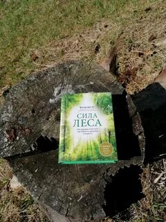 Сила леса сила воздуха