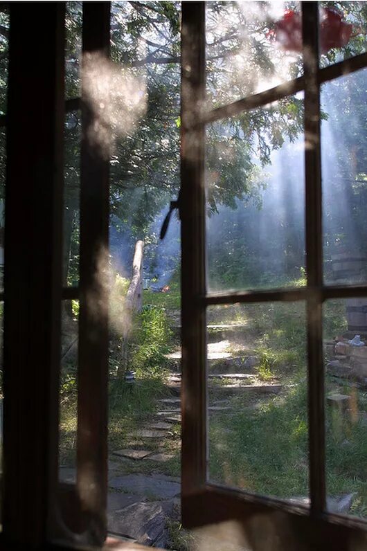 Wake window