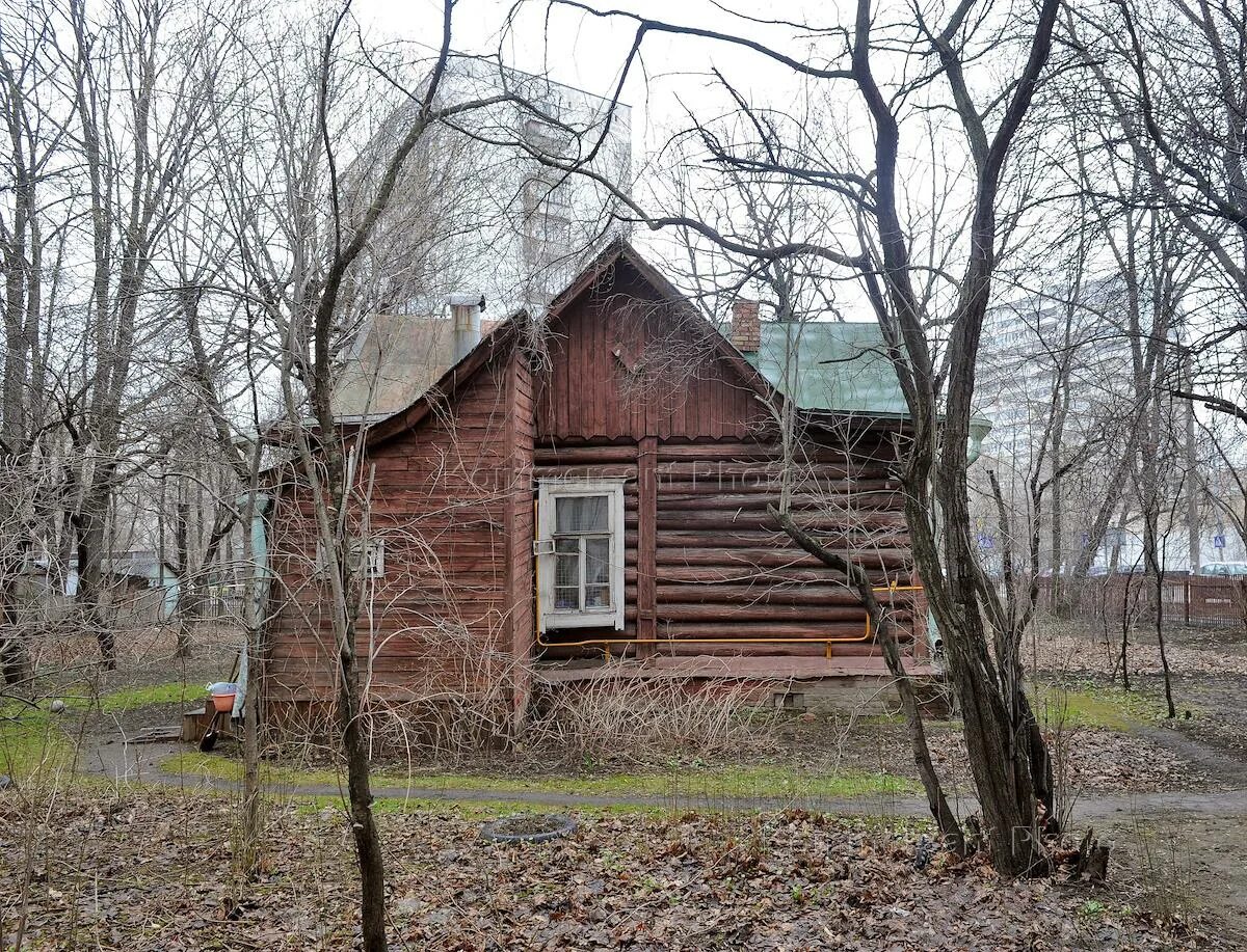 Улица алексея дикого. Дом музей Алексея дикого. Дача Алексея дикого. Музей дикого Новогиреево. Дом Алексея дикого в Новогиреево.