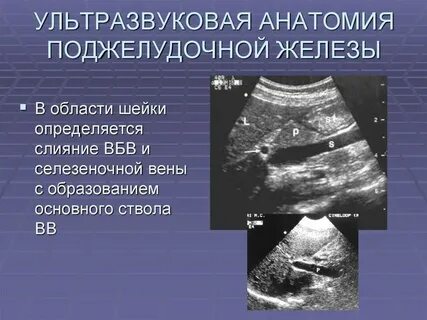 Эхопризнаки реактивной печени