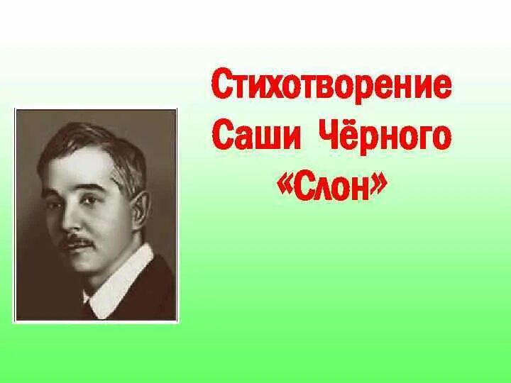 Саша черный план. Стихотворение слон Саша черный. Стихотворение слон 3 класс Саша черный. Стихотворение Саши черного. Саша черный стихи.