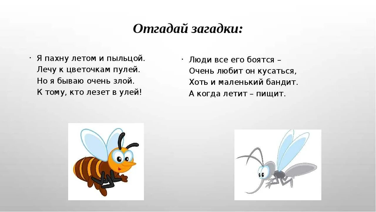 Отгадка спереди. Загадки. Загадки отгадывать загадки. Небольшие загадки. Угадывать загадки.