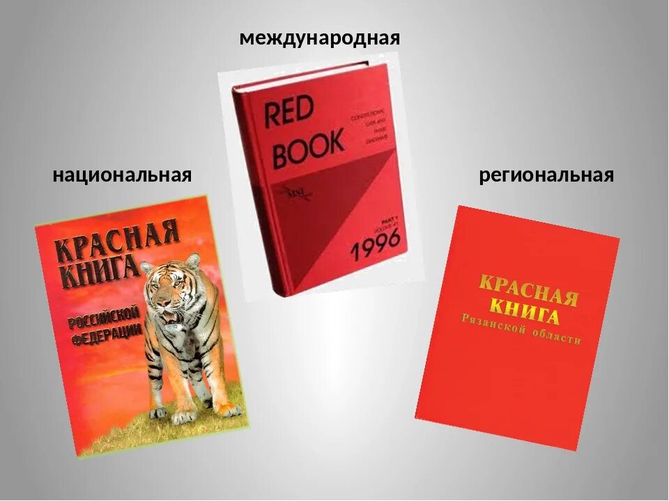 Международная красная книга. Между народная красная Крига. Международная красная книга обложка. Обложка красной книги России.