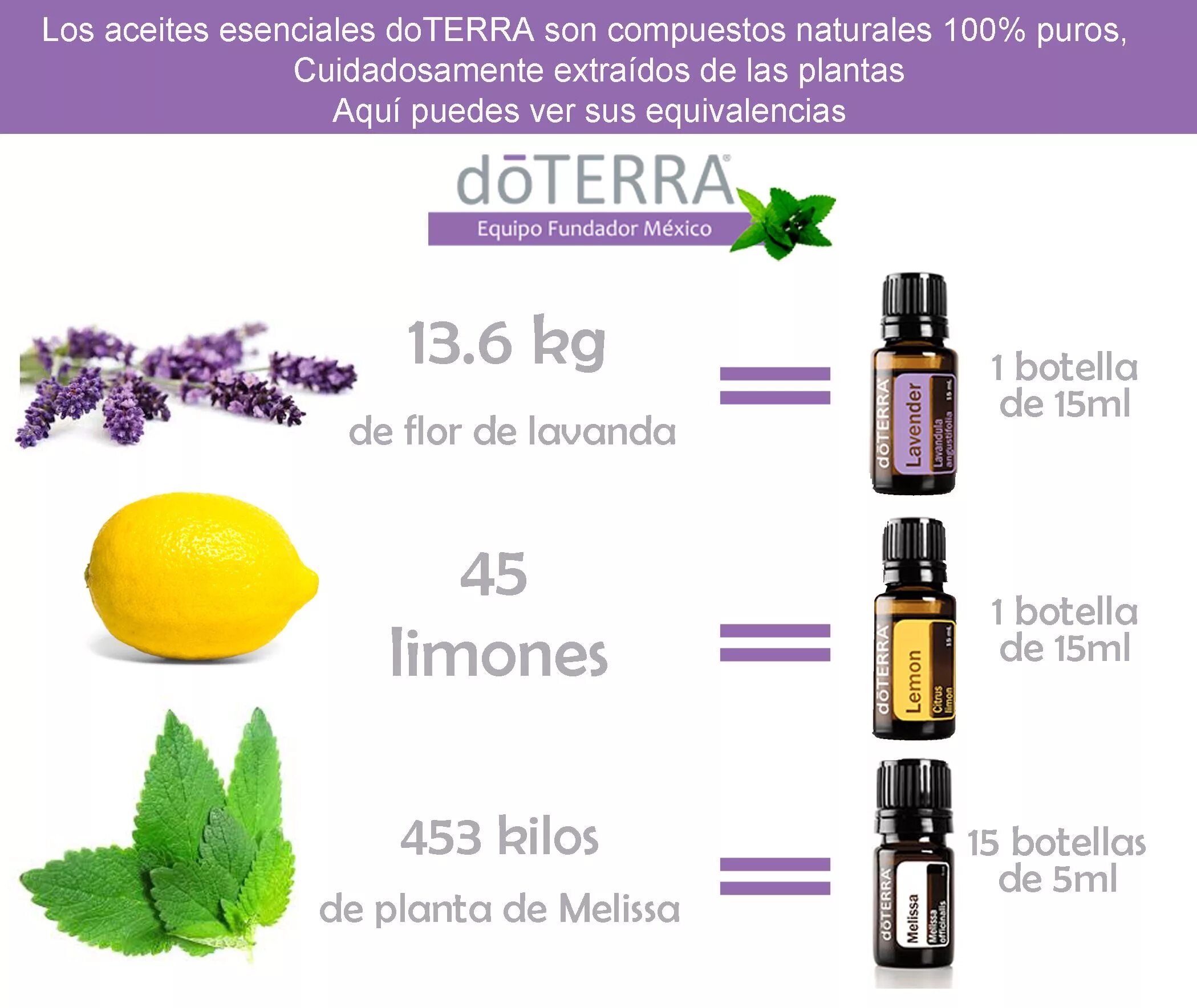 Таблица концентрации эфирных масел DOTERRA. Эфирные масла DOTERRA презентация. Дотерра масла каталог