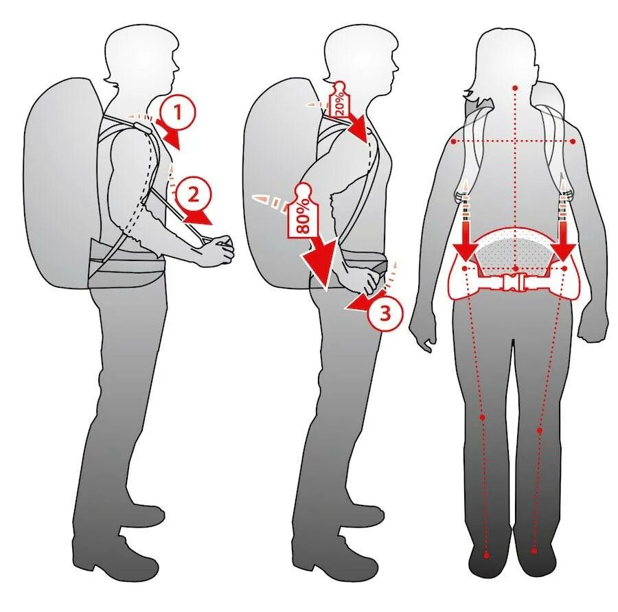 Эргономика рюкзака. Эргономика туристического рюкзака. Осанка от рюкзаков. Рюкзак нагрузка на позвоночник.