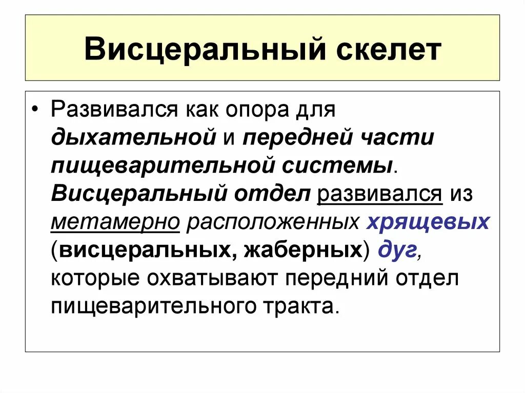 Преобразование висцерального скелета. Эволюция висцерального скелета. Висцеральный скелет это в биологии.