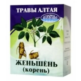 Как настоять корень женьшеня