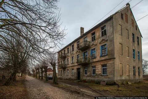 Ясная калининград