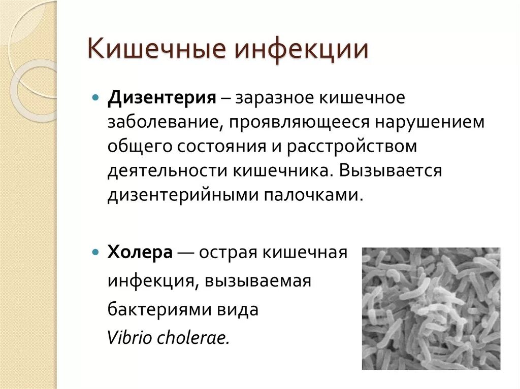 Кишечные инфекции болезни. Кишечные инфекционные заболевания. Кишечные инфекции кратко. Примеры холеры