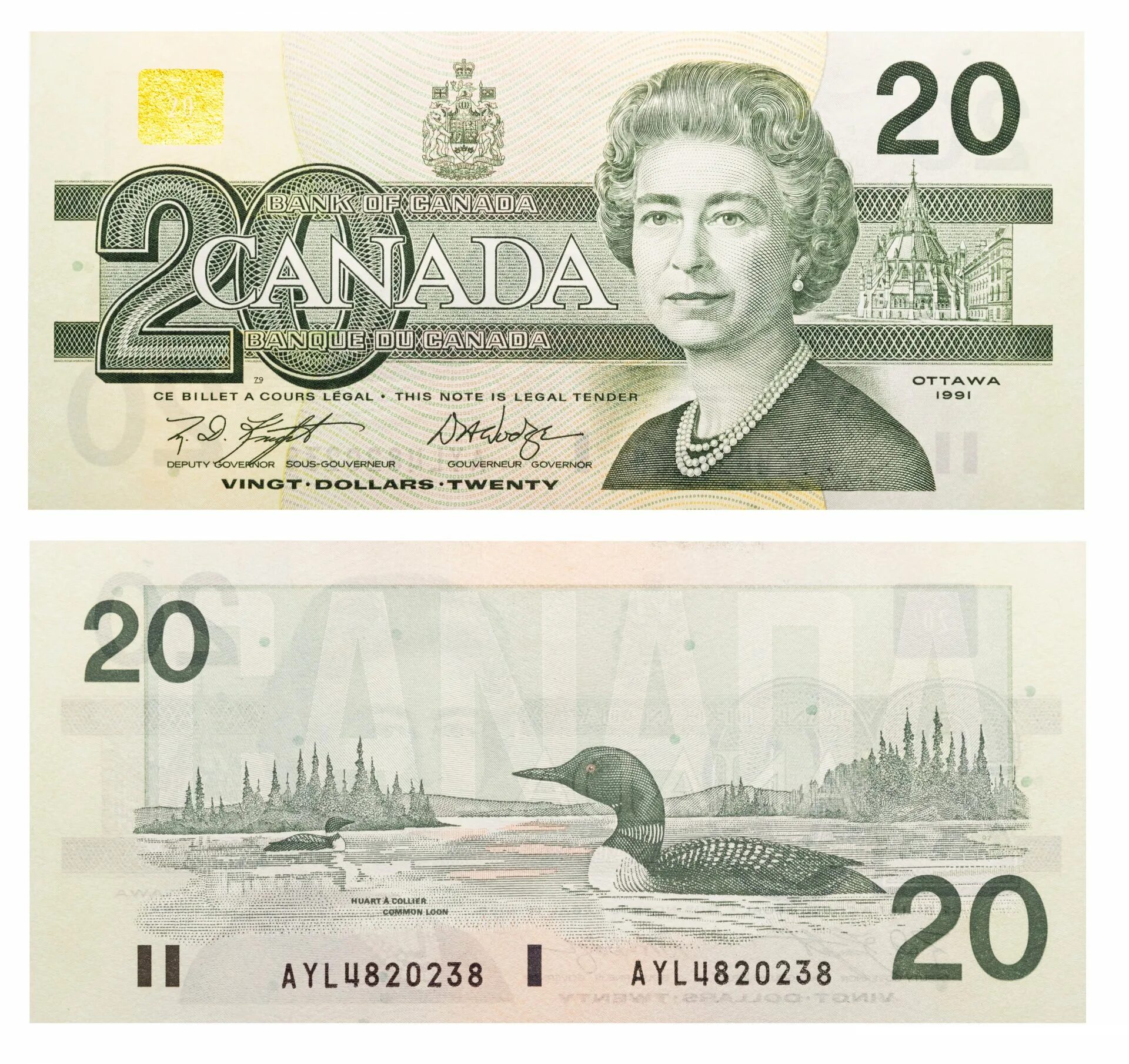 20 долларов в рублях. 20 Долларов купюра Канада. Канадский доллар купюры. Канадский доллар банкноты. Канадский доллар банкнота.