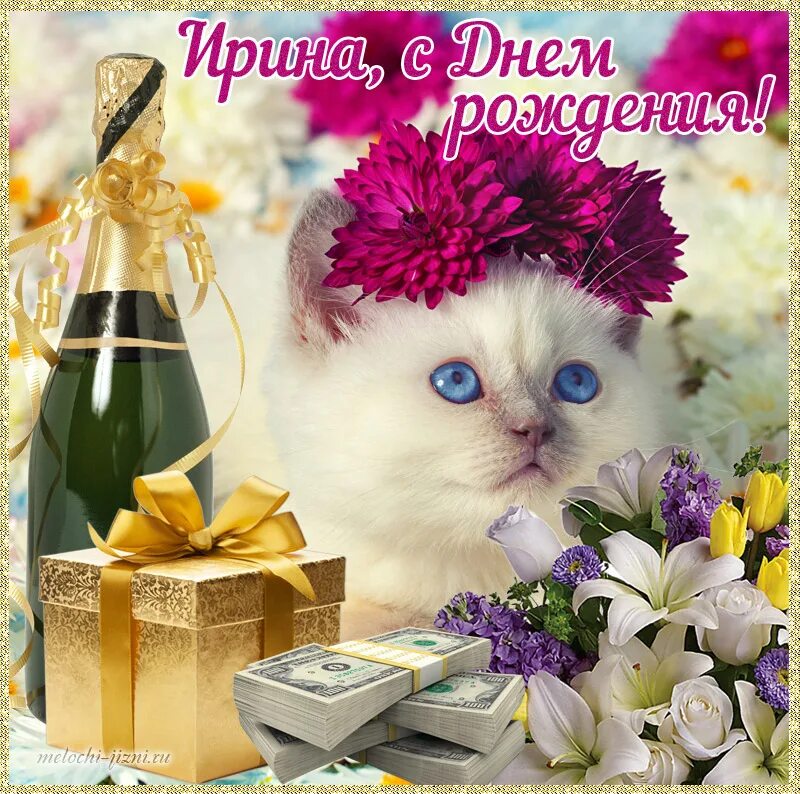 С днём рождения Ирина. Иришка с юбилеем 35