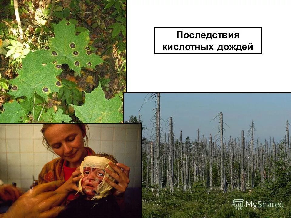 человек под дождем. люди кислотного дождя. кислотные осадки воздействие на человека. влияние кислотных дождей на человека. Acid rain.