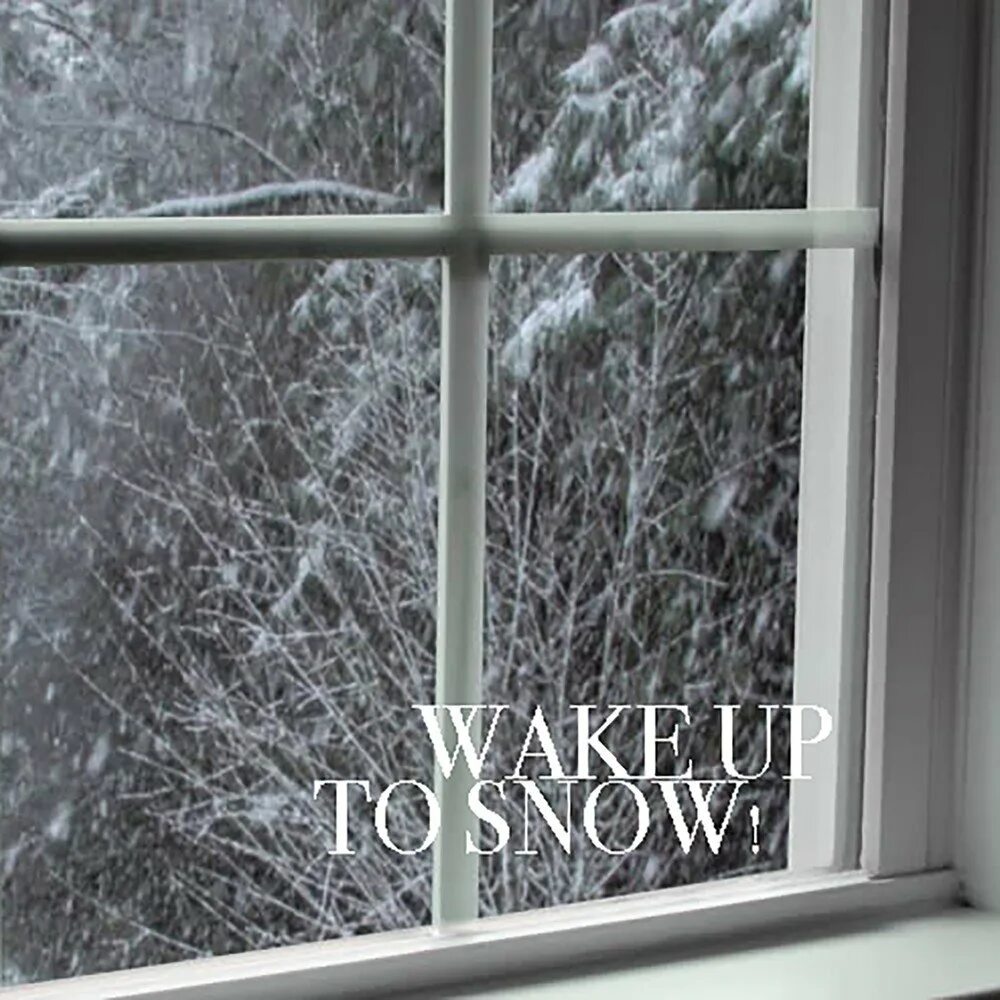 Snow in the window
