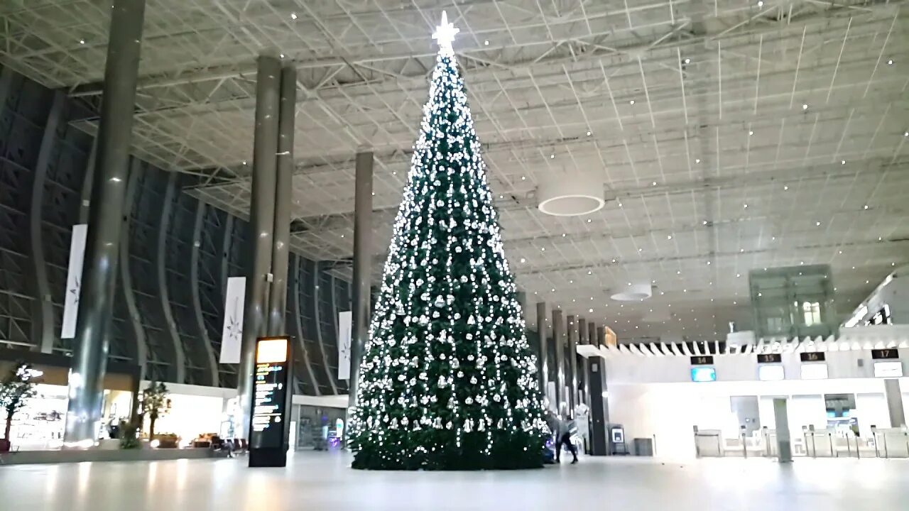 Елка в симферополе 2021. Елка на улице. Новогодняя елка 2023 году симферополь. Елка в симферополе 2023. Елка в симферополе 2021.