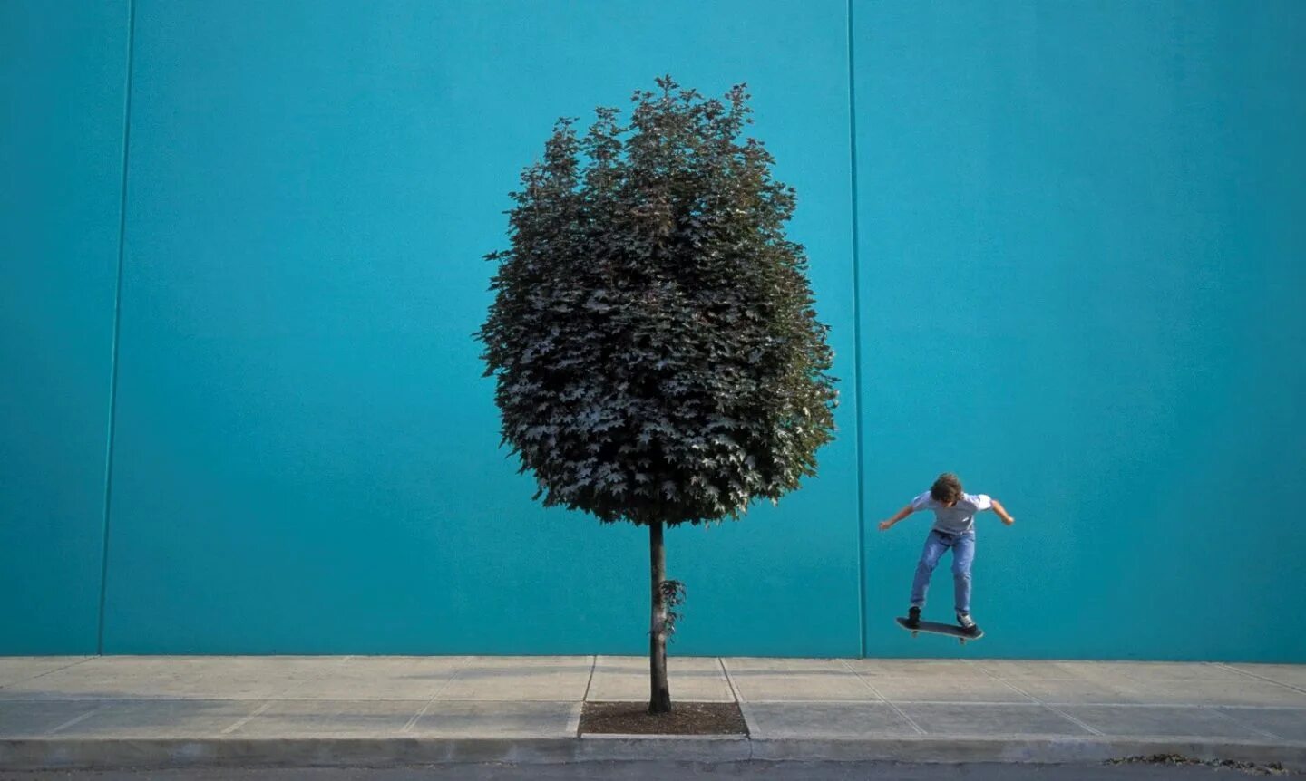 Doesn t grow. Сквозь асфальт. Дерево Biourban. Сквозь асфальт пробивается. Young Tree музыкант.