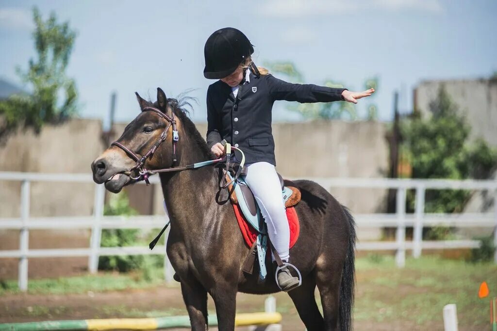 верховая езда соревнования. конная секция нижняя тавда. анна волкова тренер конный спорт. троеборье конный спорт новосибирский. институт физкультуры конный спорт.