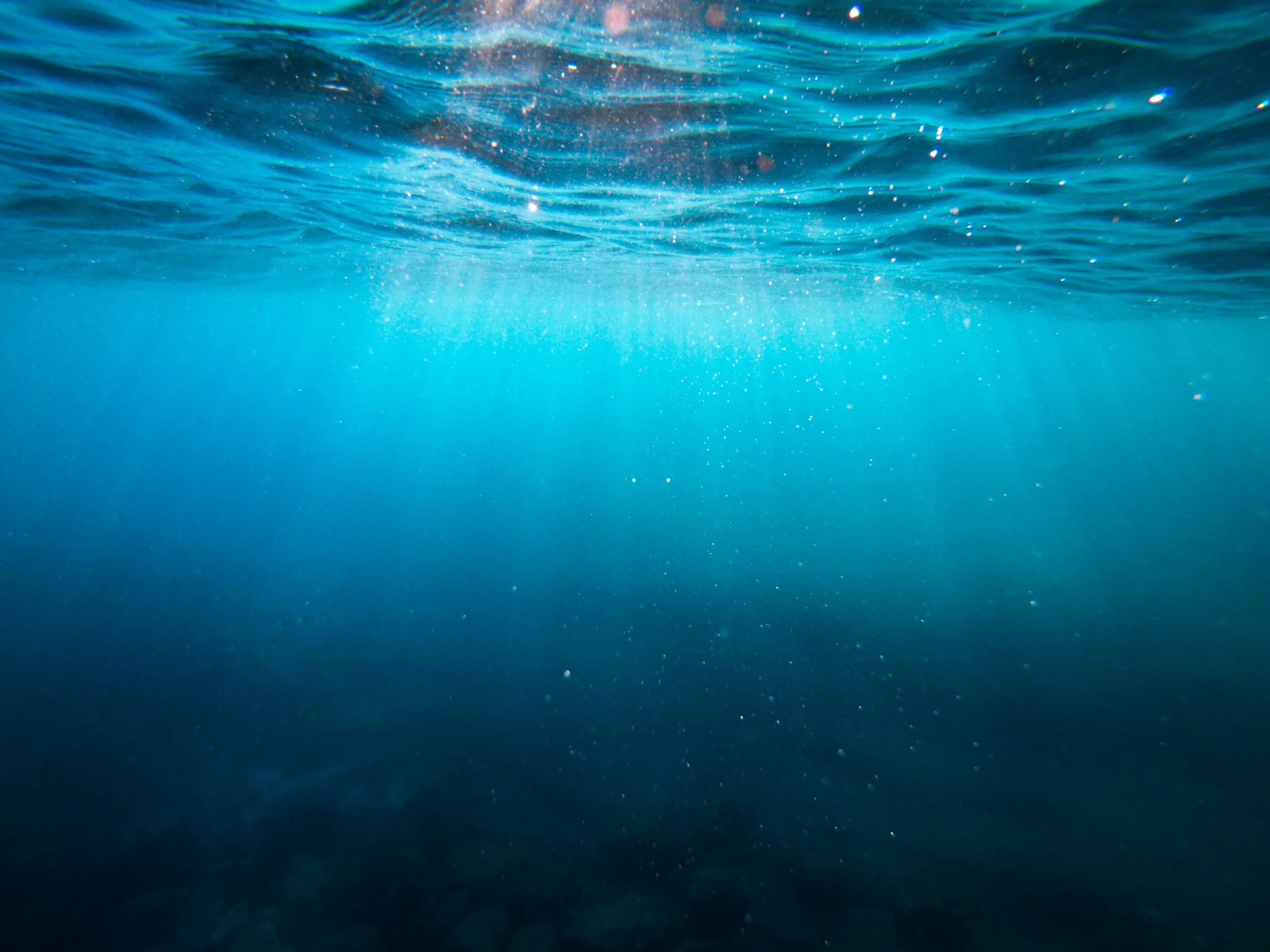 Толща воды в океане. Океан под водой. Океаны. Глубина. Морские глубины. Ода воде.