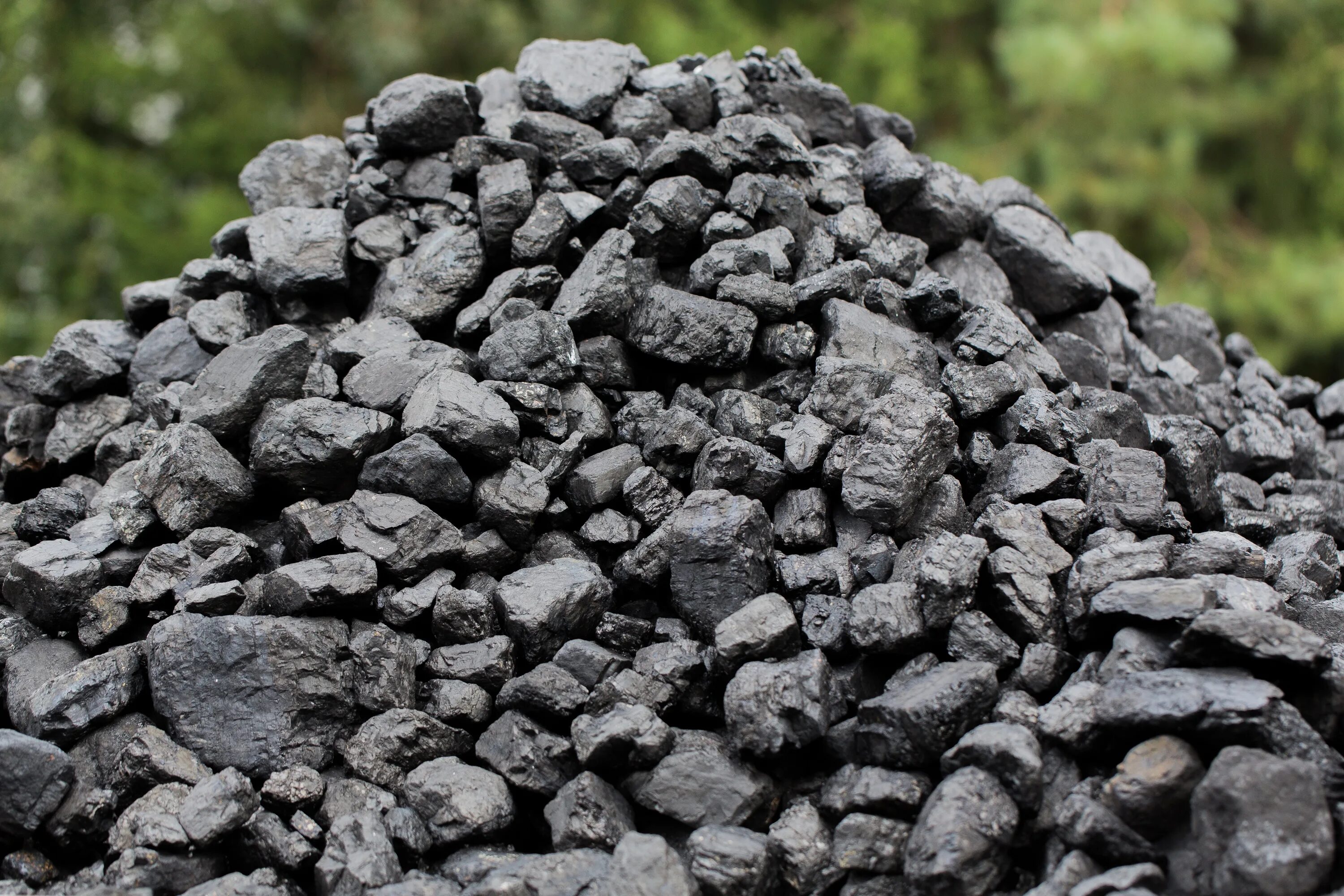 Каменный уголь. Углерод уголь. Каменный уголь топливо. Уголь дрова.