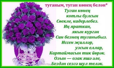 Туганым перевод