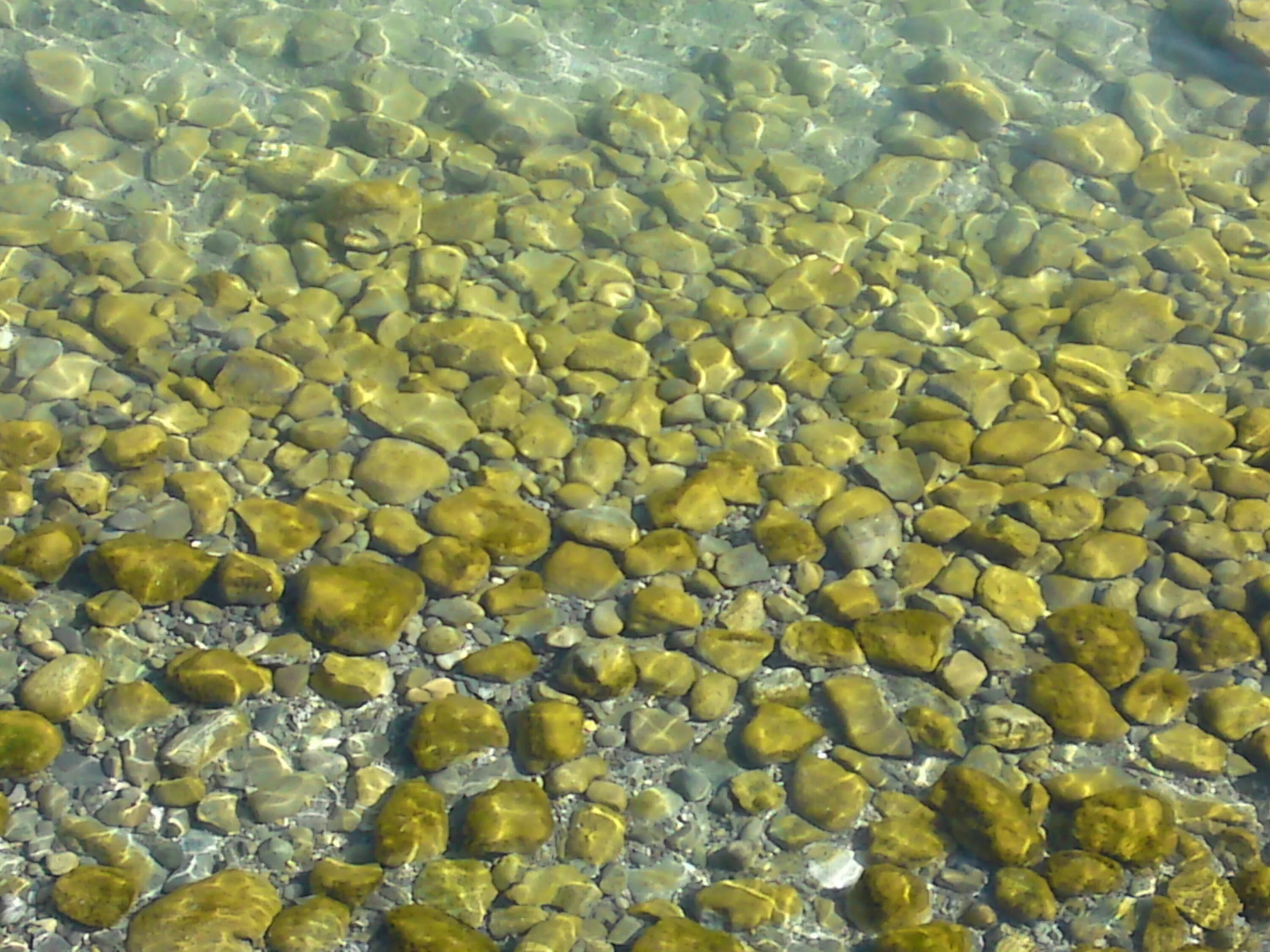 Речное дно. Прозрачная вода. Прозрачная вода галька. Каменное дно реки. Желто коричневая вода