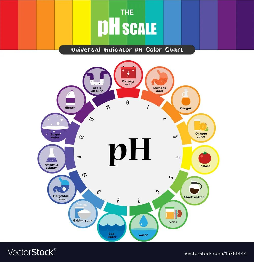 Кон ph. PH Scale. PH Chart. PH Оптиком. Universal indicator Scale.