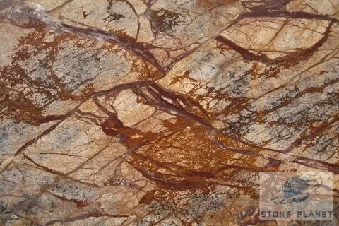 Коричневая прожилка