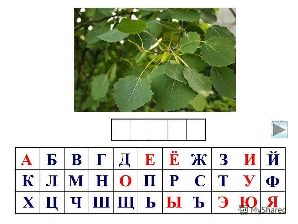 Р ф ц ч. Р ф ц ч