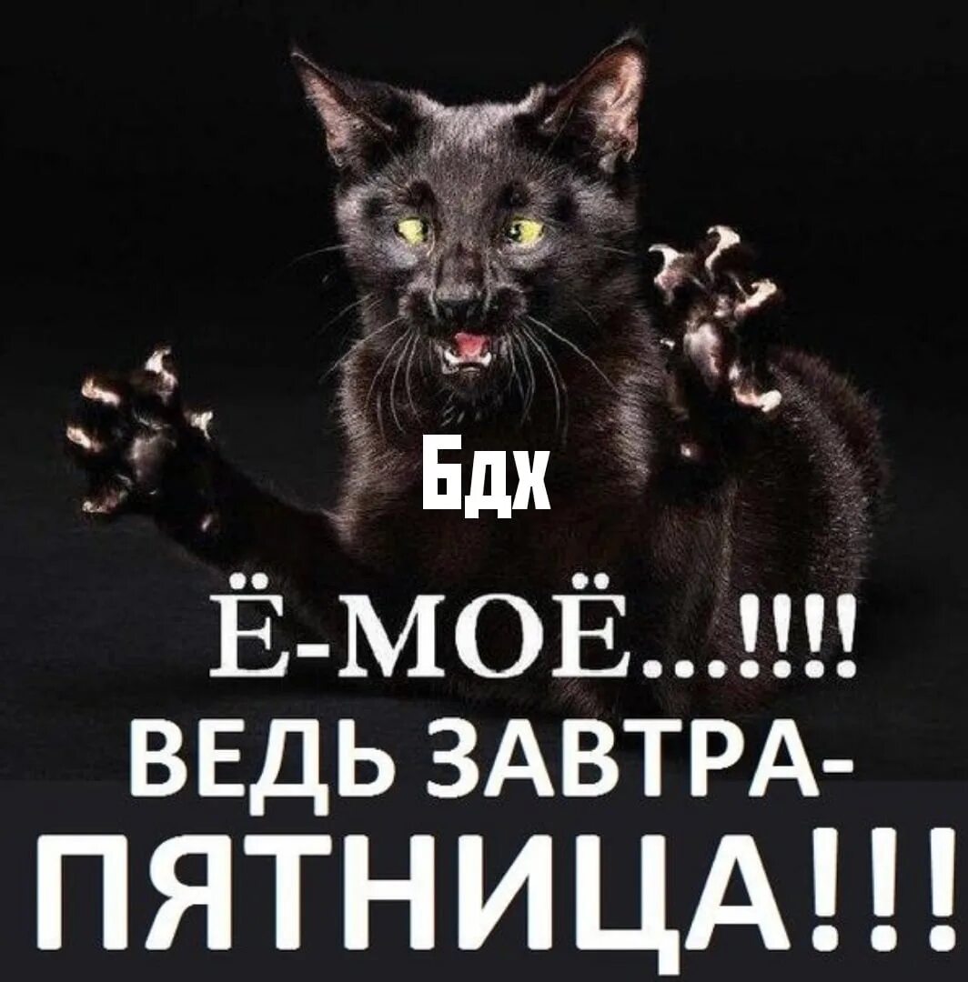 Завтра пятница прикольные