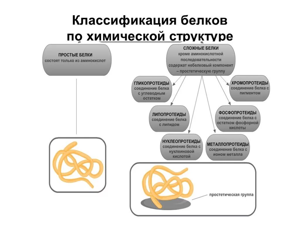 Формы белка. Классификация белков по структуре. Белки классификация структуре молекул. Классификация структуры белка. Классификация белков химия.