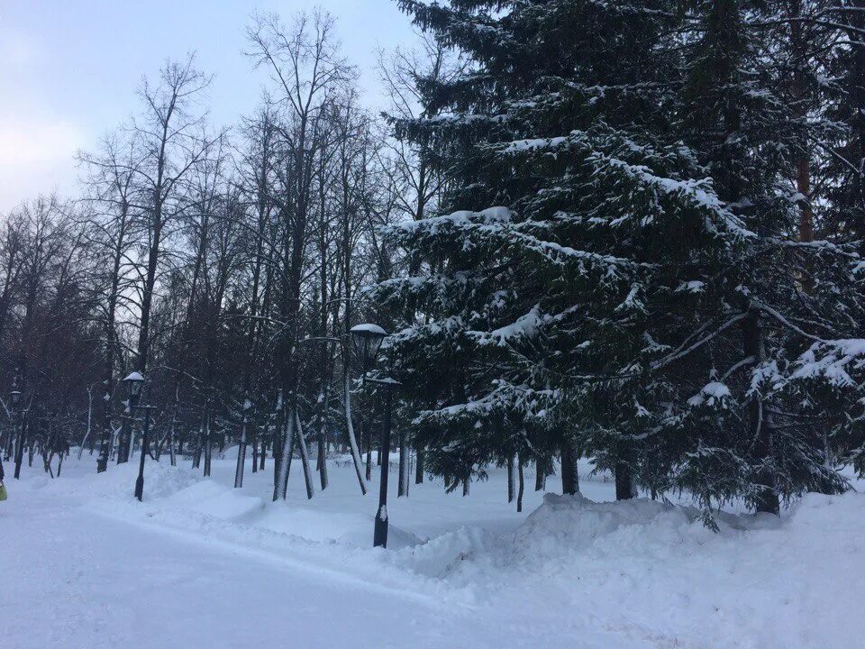 город лениногорск республика татарстан. зимний эко парк в лениногорске красноярский край. ратунда лениногорск. оазис лениногорск сауна. город лениногорск зимой.