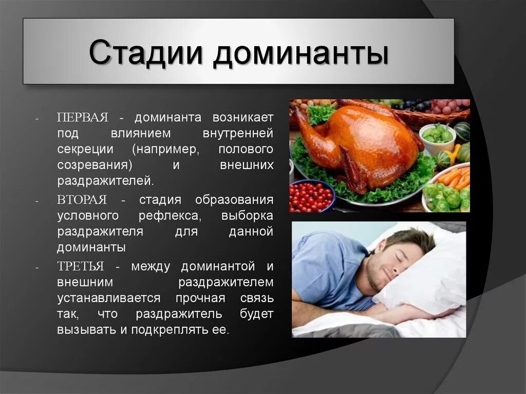 Этапы формирования Доминанты. Учение о доминанте Ухтомского. Стадии Доминанты. Явление Доминанты. Роль доминанты