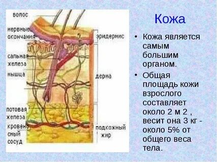 Составляет около 2