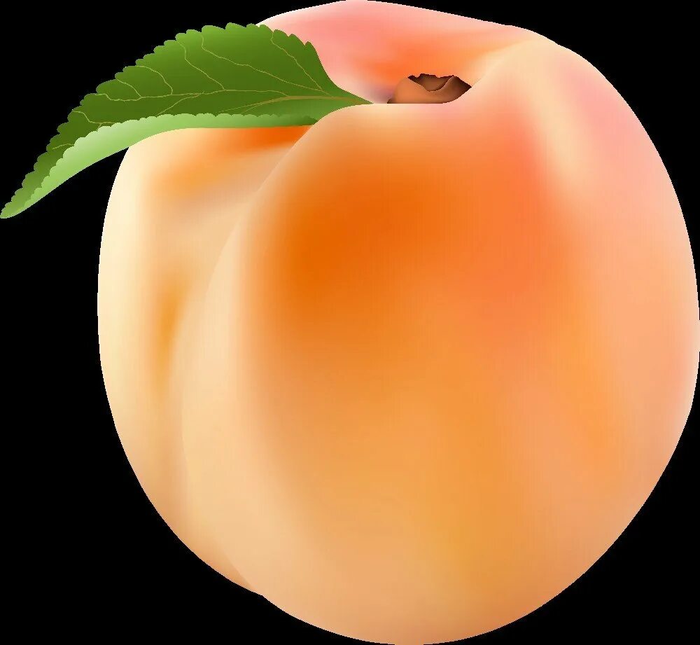 Вид киски персик. Фрукты абрикосы нектарины. Персик и абрикос. Красивый персик. Персик один.