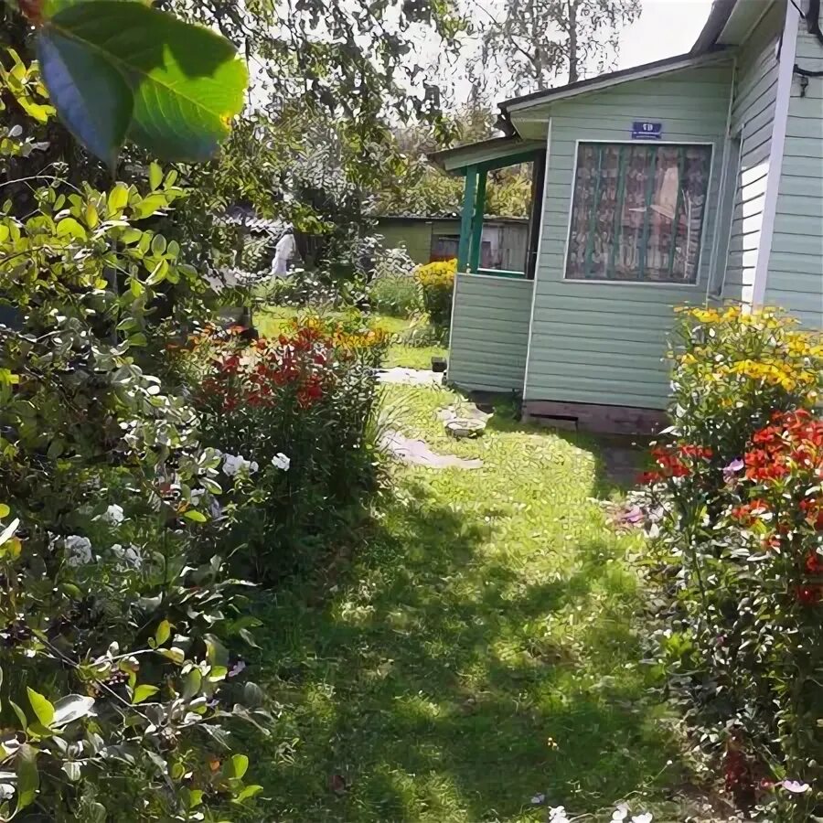 садоводство выборгское