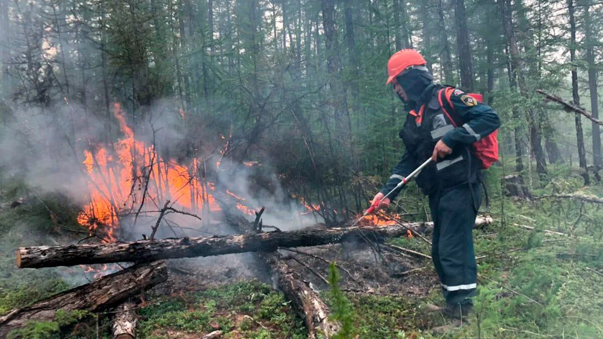 Лесные пожары в Якутии 2021. Пожар леса. Тушение пожара в лесу. Пожар в лесу МЧС.