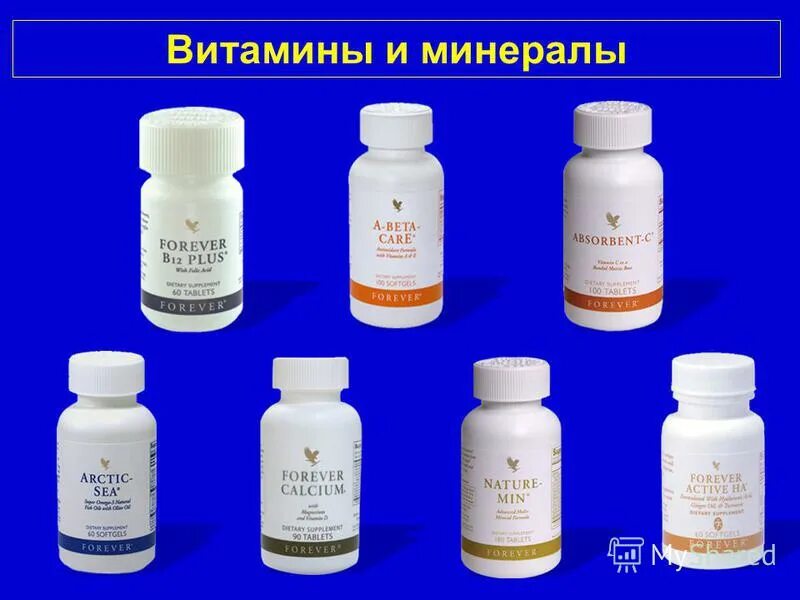 форевер реклама для газеты. алоэ вера форевер продукция чай. папа форевер конкурс. эмиль форевер. 38 попугаев удав.