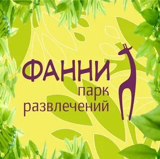 Фани парк каток