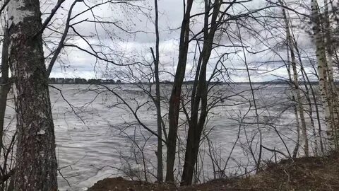 Дубрава волжский