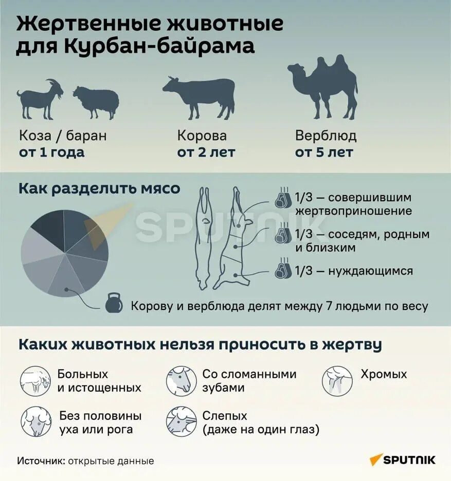 Курбан байрам. Сроки жертвоприношения Курбан.