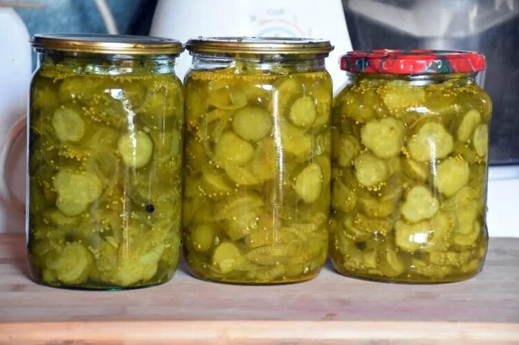 Pickled cucumber/ Gherkin - pickled food/ canned food- 100% natural and fresh- r