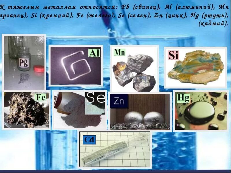 Тяжелые металлы ртуть свинец. Тяжелые металлы ртуть свинец. Тяжелые металлы. Ртуть свинец кадмий. Кадмий свинец ртуть мышьяк.