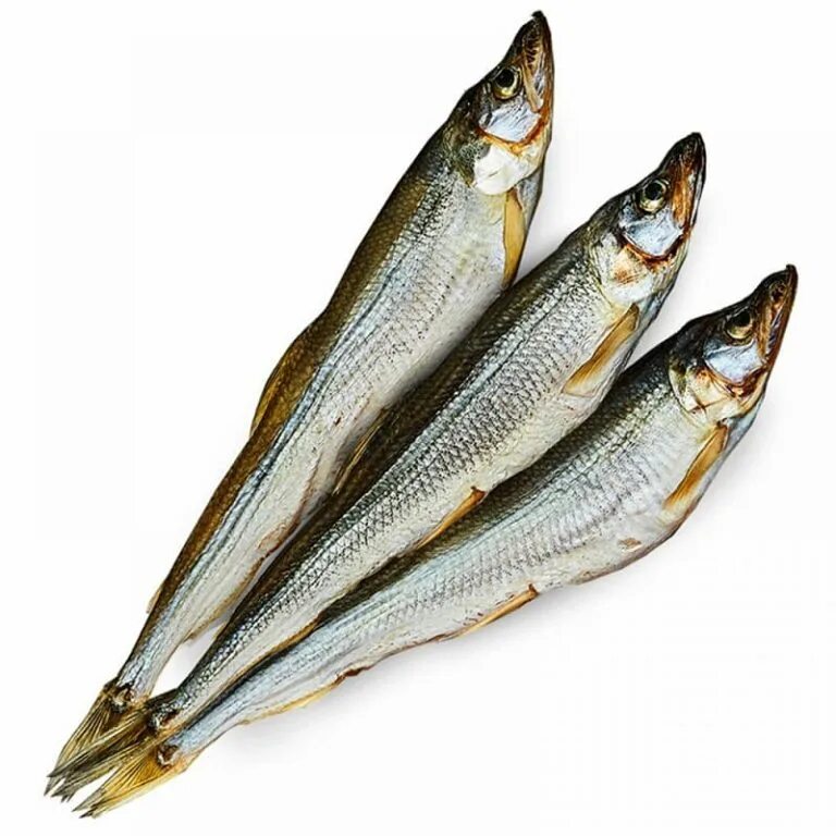 Как выглядит рыба корюшка. Озерная корюшка. Корюшка европейская osmerus eperlanus. Корюшка балтийская. Корюшка камчатская вяленая.