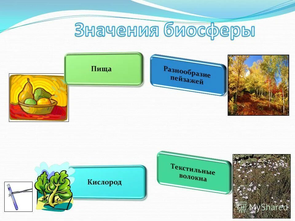 Значение биосферы для человека 6 класс