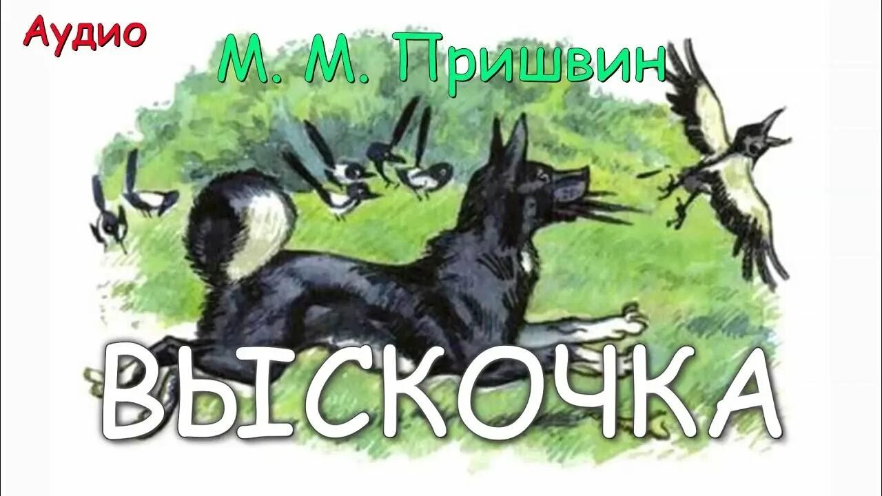 Выскочка читать 4 класс. Пришвин вьюшка и выскочка. Выскочка пришвин сорока.