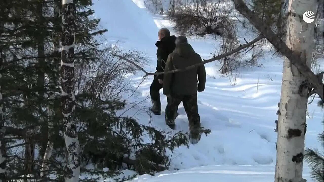 Шойгу в тайге.