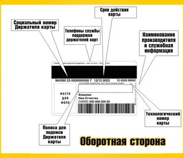 Социальная карта москвича где номер карты