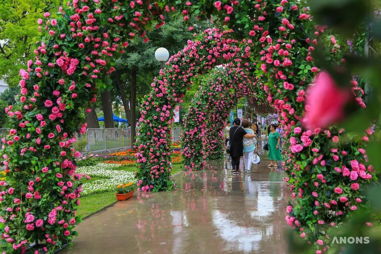 Tashkent Flower Festival 2022. Парк цветов в Ташкенте. Фестиваль цветов Эстетика. Цветочный фестиваль в Намангане.