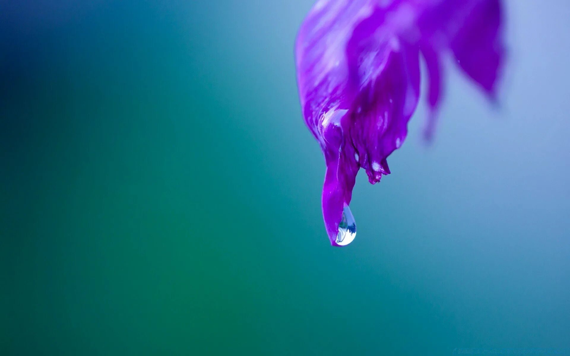 Сумеречный цвет. Сумеречный цвет. Фиолетовые эффекты. Фиолетовый цвет газа. Кислотно фиолетовый.