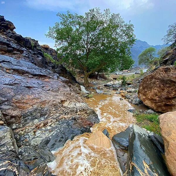 Цветочные мужчины саудовская аравия. Курайшиты. Кахтан. Племя казтаниты мужчины в венказ из цветов. Кахтан йемен.